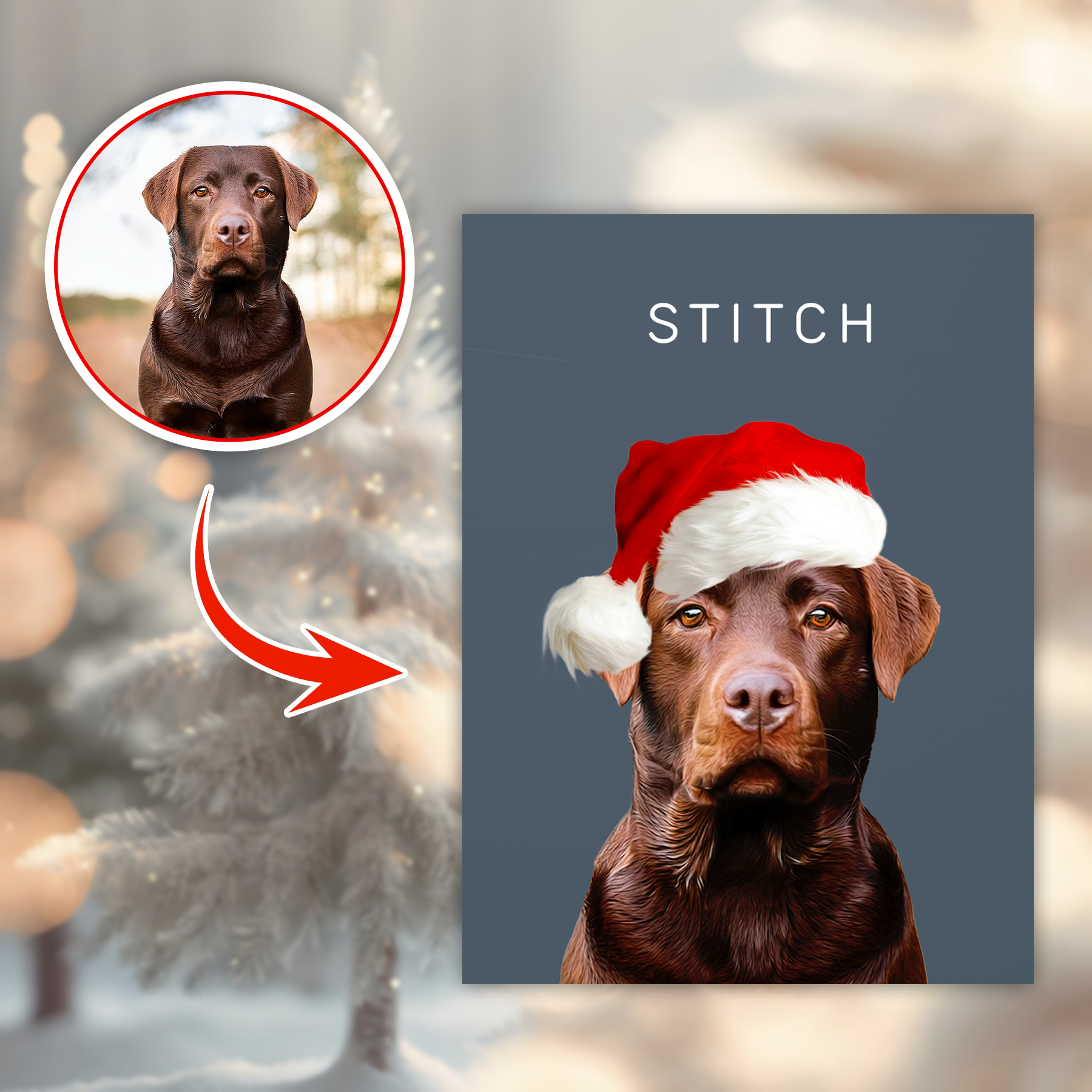 Custom Adorable Pet Photo, Personalized Canvas - Christmas Gift For Pet Owners