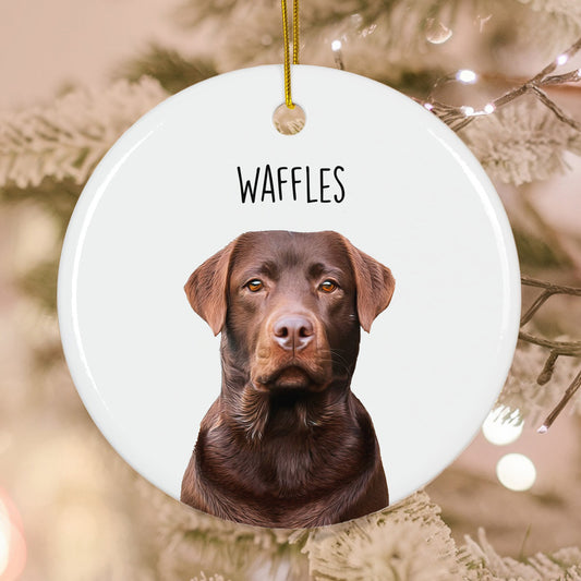Custom Charming Pet Photo, Personalized One-Side Printed Ceramic Ornament - Christmas Gift For Pet Lovers