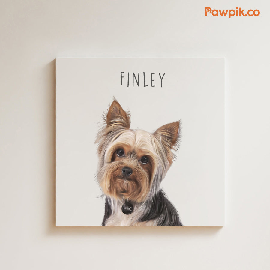 Super Cute Personalized Pet Square Poster - Gift For Dog & Cat Lovers