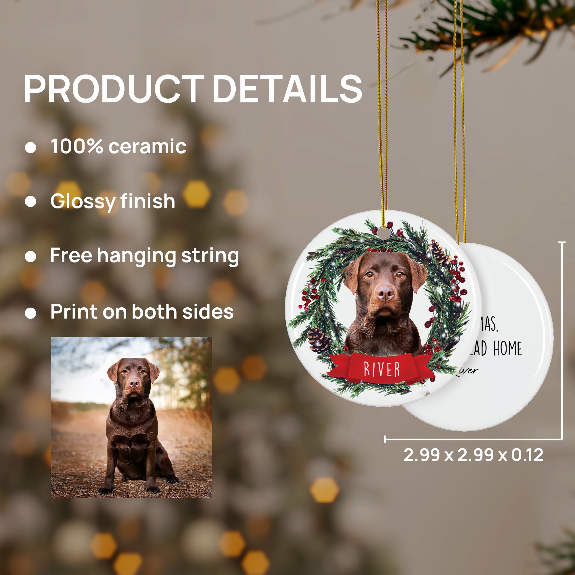 Custom Lovely Pet Photo, Personalized Double-Side Printed Ceramic Ornament - Christmas Gift For Pet Lovers